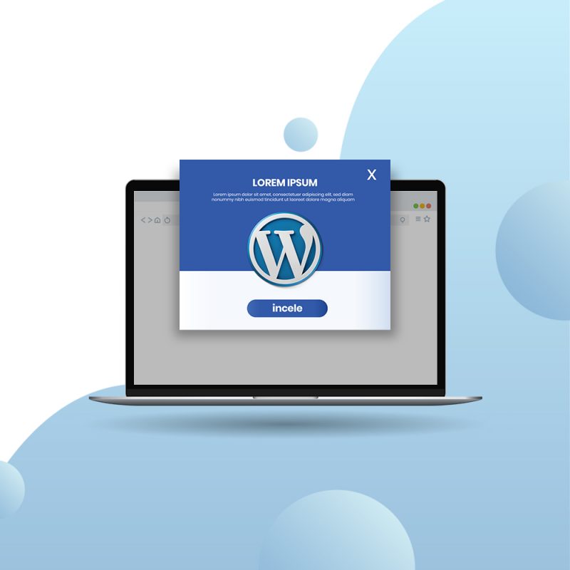 WordPress Nedir ?